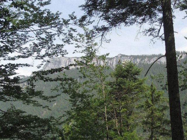 lep-je-ovaj-svet.jpg, 157 KB